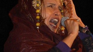 صورة بعد توقف السهرات والحفلات دعم خاص للفنانين التقليديين