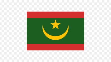 صورة البنك المركزي (المبلغ المسروق يتضاعف )