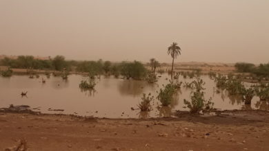 صورة تفاصيل أمطار أمس و البارحة