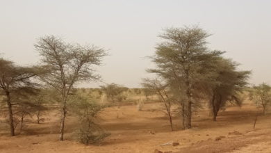 صورة قلق و ترحال في صفوف  المنمين