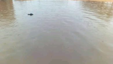 صورة الأرصاد تتوقع أمطارا على ولاية لعصابة