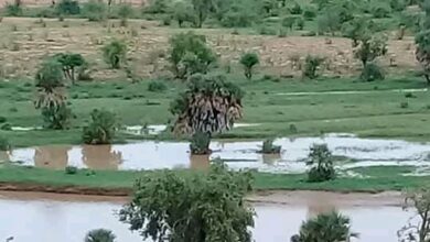 صورة كيفة : مقاييس أمطار البارحة