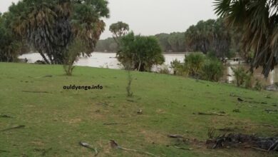 صورة كيفه : لأسباب تاريخية بنات هذه القرية يتجاوز مهرهن 20 مليون أوقية