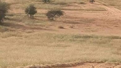 صورة كيفه : وزير الثقافة يقضي ليلته في بلوار بعد فشل تنظيم دورة الرماية ( كيفة 2020 )