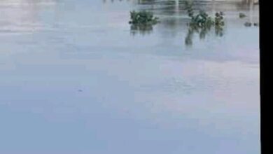 صورة كيفه : مياه السيول تحاصر مساكن قرية أزرافية