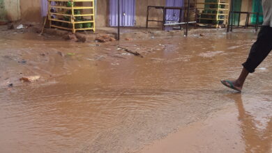 صورة كيفه  : تفاصيل أمطار أمس واليوم