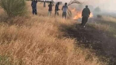 صورة حريق يزحف من بوخليخيل جنوب لخذيرات إتجاه مناطق تابعة لبلدية أقورط ومقاطعة كنكوصة