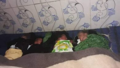 صورة سيدة تنجب 4 توائم بصحة جيدة في بلدية بوسطيله