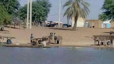 صورة كنكوصة / مواطن من دولة مالي المجاورة يتعرض لعملية طعن بسكين في سوق كنكوصة