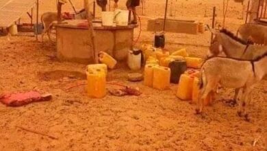 صورة كيفه / مناطق لاتزال تعاني التهميش والحرمان