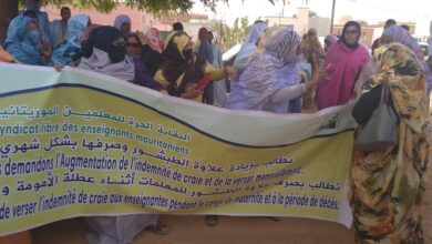 صورة كيفه/ وقفة حاشدة للمدرسين المضربين في ساحة الولاية وسط مدينة كيفه