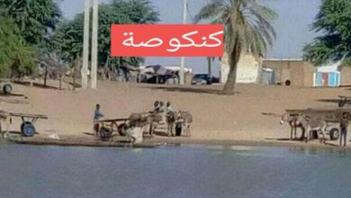 صورة كنكوصه / استياء بعد إقالة موظف في وزارة النقل