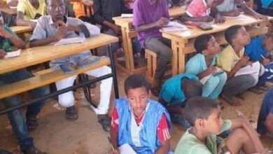 صورة كيفه / هكذا تراوحت نسب إضراب المدرسين في ولاية لعصابه حسب الرواية الرسمية