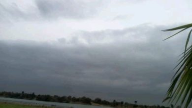 صورة كيفه / تساقطات مطرية بلعصابة والحوضين ( مقاييس)