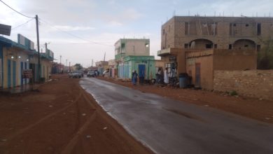 صورة كيفه / تساقطات مطرية خفيفة