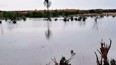 صورة كيفه / توقعات بأمطار متوسطة على ولاية لعصابه