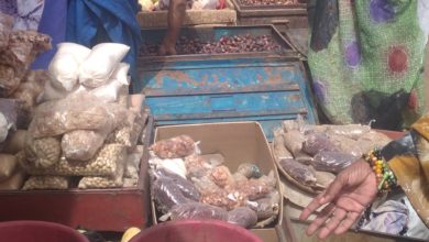 صورة كيفه / بعد تزايد العرض تراجع في أسعار البلح والتمور الموسمية