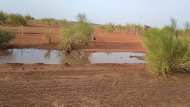 صورة كيفه / تفاصيل أمطار البارحة( مقاييس تحت التحديث)