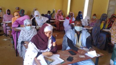 صورة وزارة التعليم العالي تستأجر طائرتين لنقل الطلاب إلى الجزائر