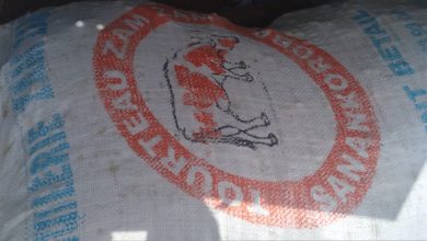 صورة كيفه / إقبال في السوق على شراء الأعلاف و مخاوف من تأخر الأمطار