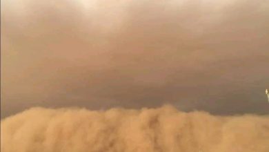 صورة كيفه / أضرار في بلدية أرظيظيع بسبب عاصفة مطرية