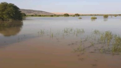 صورة كيفه / حصيلة أمطار البارحة على ولايتي لعصابه والحوض الغربي