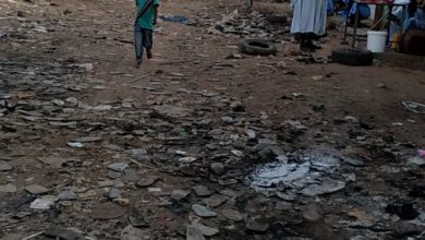 صورة كيفه/ انظر كيف تحول سوق كيفه إلى مركز للقمامة ( فيديو)