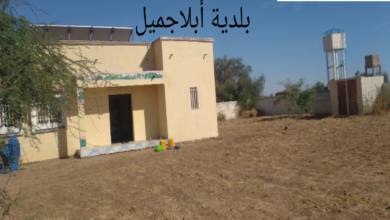 صورة كنكوصة/ عمدة بلدية أبلاجميل يقديم منحا مالية للتلاميذ المتفوقين في بلديته لمدة ( 4 سنوات )