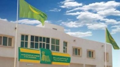 صورة تشكلة لجنة تسيير وتوزيع صندوق دعم الصحافة