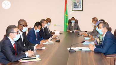 صورة الحكومة تتبنى خطة عمل لمواجهة الجفاف الذي يهدد الثروة الحيوانية (بيان)