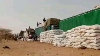 صورة كيفه/ قلق في لعصابه بسبب المشاكل التي تواجه إستيراد العلف الأخضر (ركل الكسرة)