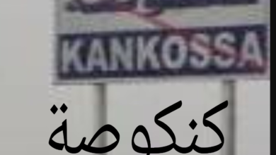صورة كنكوصة/ قراءة في المستجدات على الساحة السياسية ( تأسيس حلف جديد )