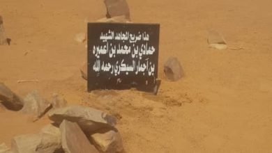 صورة من ذاكرة المقاومة : البطل حمادي ولد آجمار السيكري شهيد معركة النيملان 1906