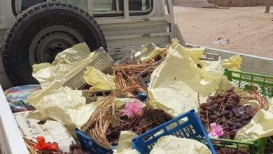 صورة وزارة التجارة تصادر كمية من التمور المنتهية الصلاحية