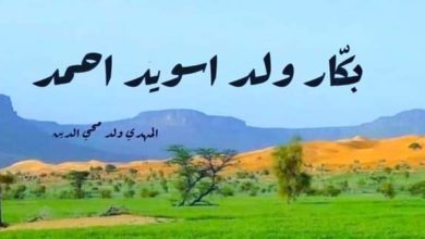 صورة د / المهدي ولد محي الدين يكتب : “بكار ولد أسويد أحمد”