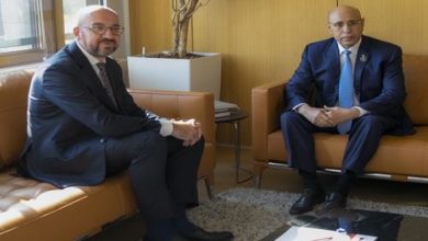 صورة رئيس الجمهورية يستقبل في بروكسل رئيس المجلس الأوروبي