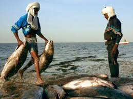 صورة توضيح من وزارة الصيد و الاقتصاد البحري بخصوص بعض قراراتها