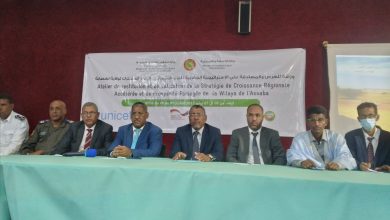 صورة كيفه/ بعض مداخلات المشاركين في ورشات المصادقة على الاستراتيجية الجهوية للتنمية ( فيديوهات )