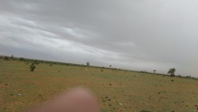 صورة مقاييس آخر التساقطات المطرية على ولاية لعصابه 