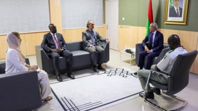 صورة وزير الدفاع يستقبل بعثة من منظمة الأمم المتحدة