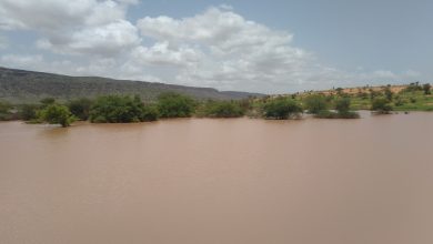 صورة نشرة الهيئة الوطنية للأرصاد الجوية بخصوص الأيام المقبلة