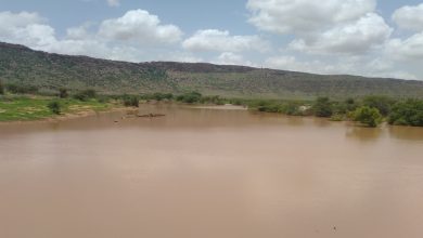 صورة كيفه/ إجمالي مقاييس أمطار البارحة على ولاية لعصابه