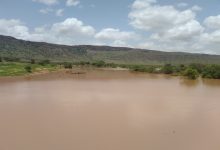 صورة كيفه / الحصيلة النهائية للتساقطات المطرية الأخيرة على ولاية لعصابه  ( مقاييس