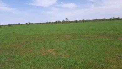 صورة كيفه / توقعات الهيئة الوطنية للأرصاد لليومين المقبلين ( 22 و 23 أغسطس  ) 