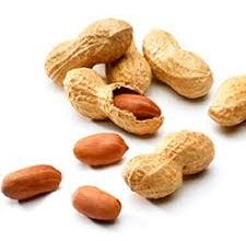 صورة كيفه/  إرتفاع أسعار المواد الغذائية المحلية ( الفاصوليا و الفول السوداني )