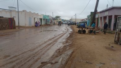 صورة اللجنة الخاصة بتسيير الطوارئ تحصي خسائر ولاية لعصابه