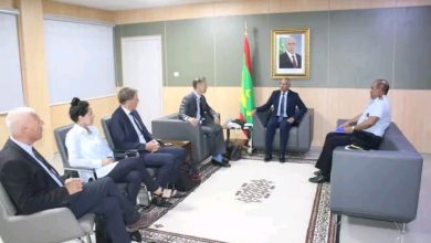 صورة وزير الدفاع الوطني السيد حننه ولد سيدي يستقبل ممثل الآلية الأوروبية للسلام