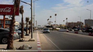 صورة بلدية تفرغ زينه تواصل غرس النخيل في الشوارع الرئيسية