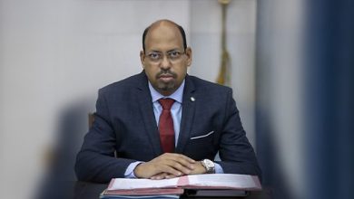 صورة وزير الوظيفة العمومية يعود إلى نواكشوط قادما من جمهورية مصر العربية 