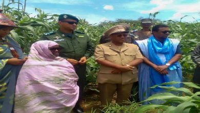 صورة كنكوصه/  والي لعصابه يختتم الحملة التي نظمتها وزارة الزراعة من بلدية ساني